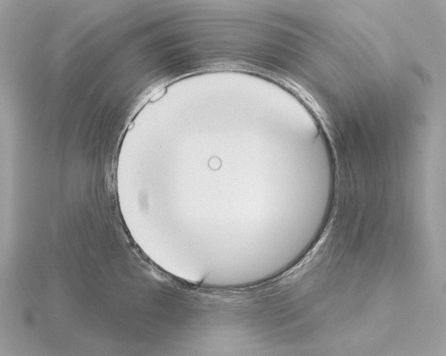 X0000115051097200912071125