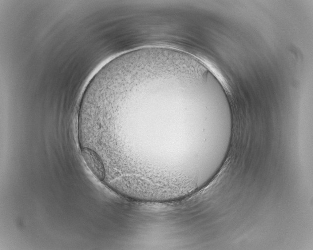 X0000115051100200912071125