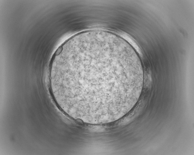 X0000115051101200912071125