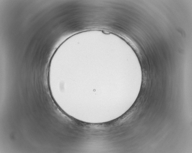 X0000115051102200912071125