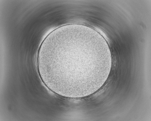 X0000115051103200912071125