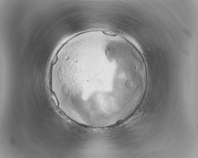 X0000115051104200912071125