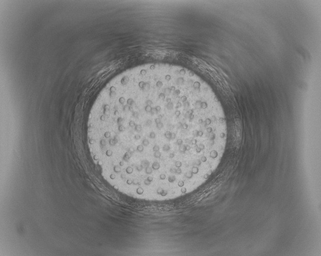 X0000115051105200912071124