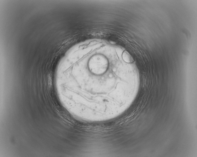 X0000115051106200912071124