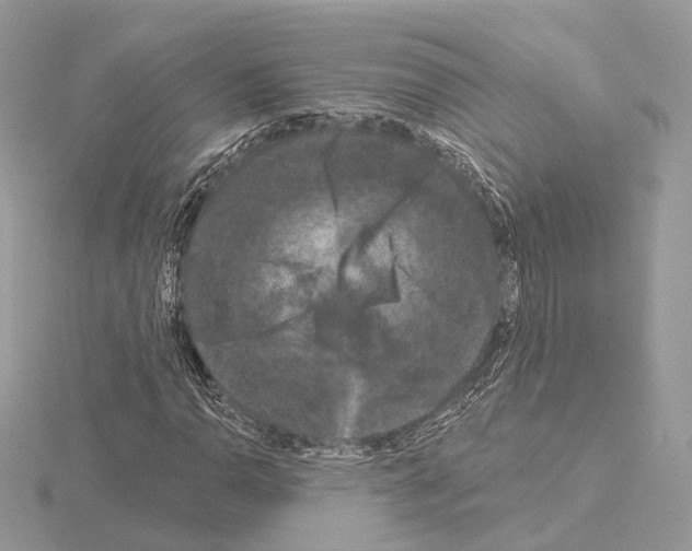 X0000115051110200912071124