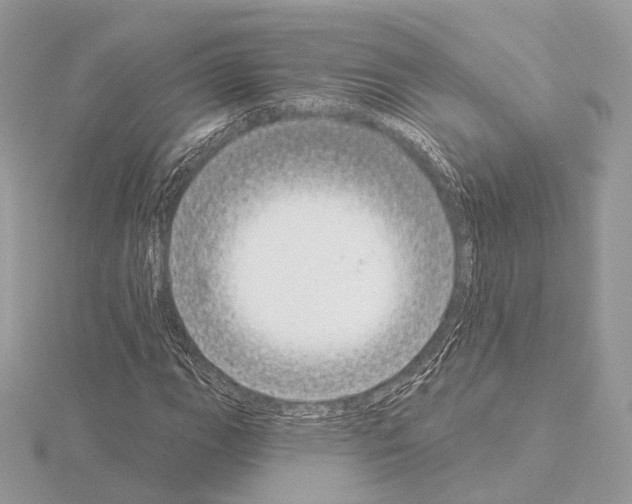 X0000115051111200912071124