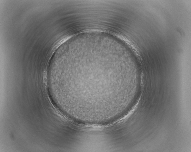 X0000115051113200912071124