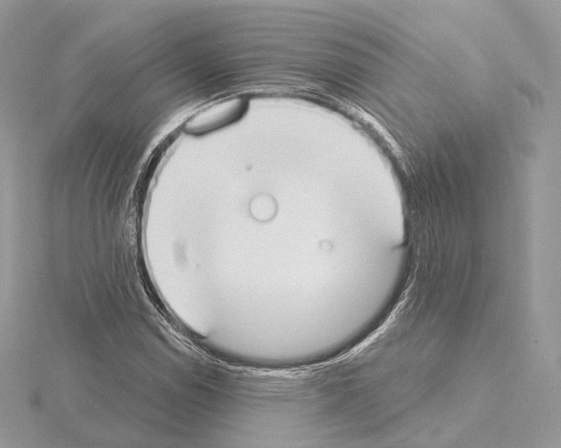 X0000115051114200912071124