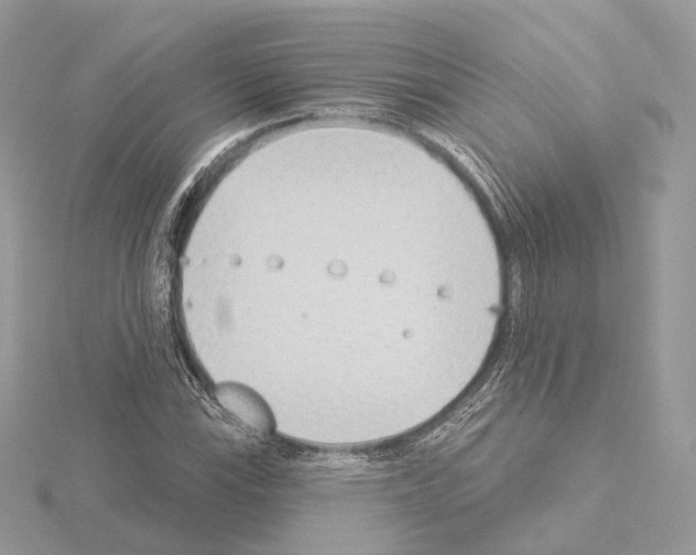 X0000115051115200912071124