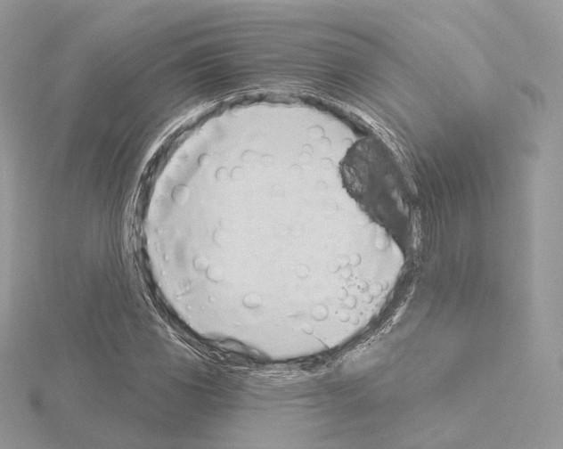 X0000115051117200912071124