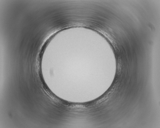 X0000115051119200912071124