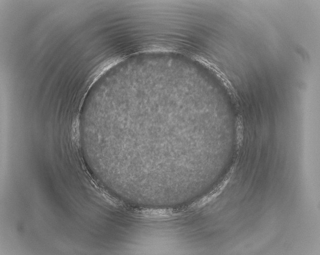 X0000115051121200912071124