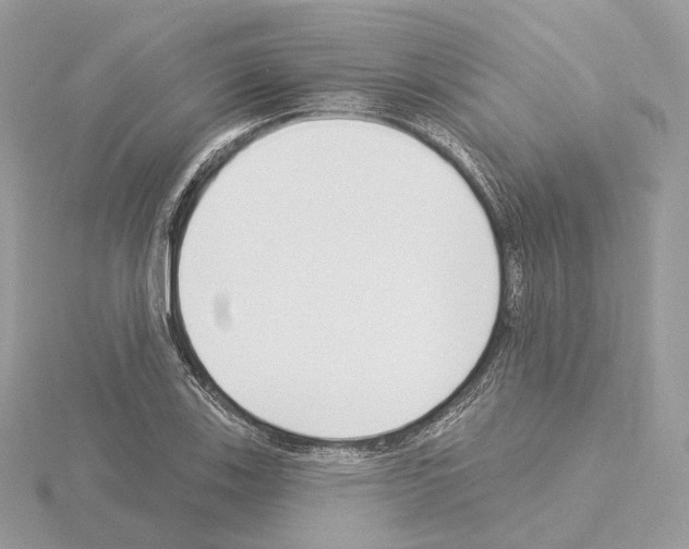 X0000115051123200912071124