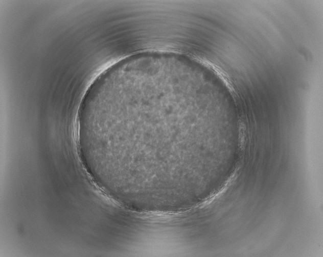 X0000115051125200912071124