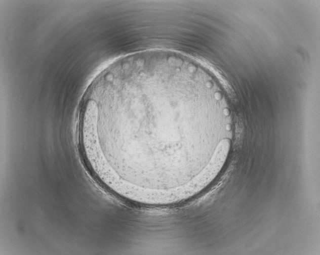 X0000115051126200912071124