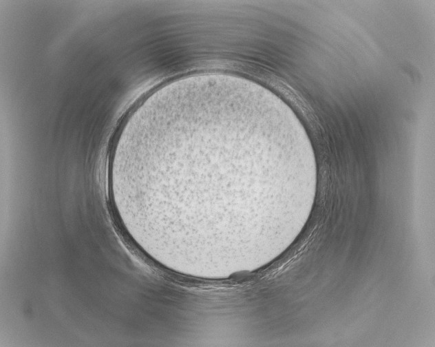 X0000115051127200912071124