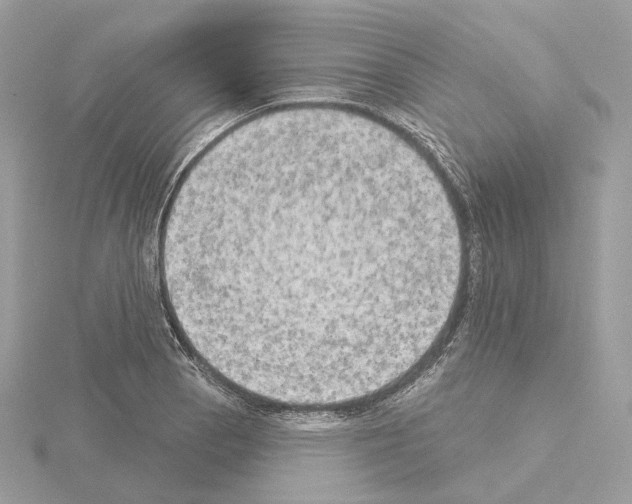 X0000115051129200912071124