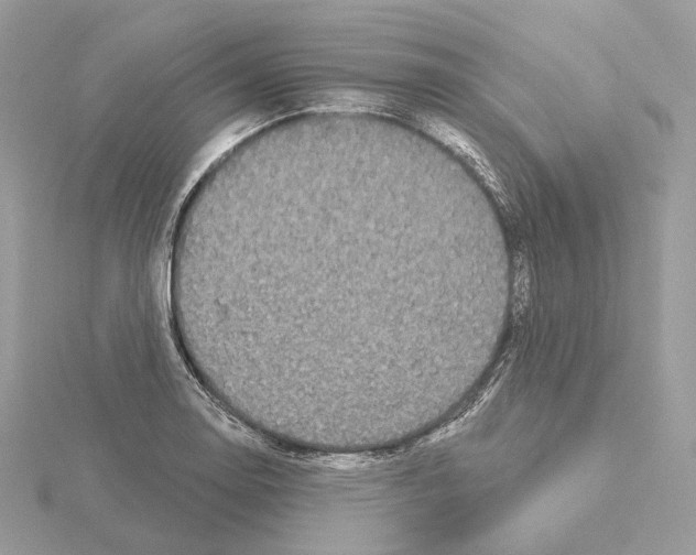 X0000115051130200912071124