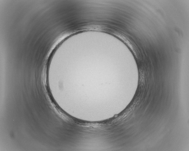 X0000115051131200912071124