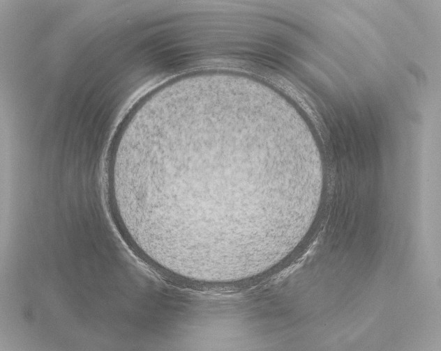 X0000115051133200912071124