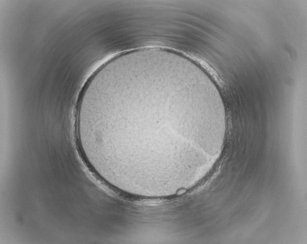 X0000115051134200912071124