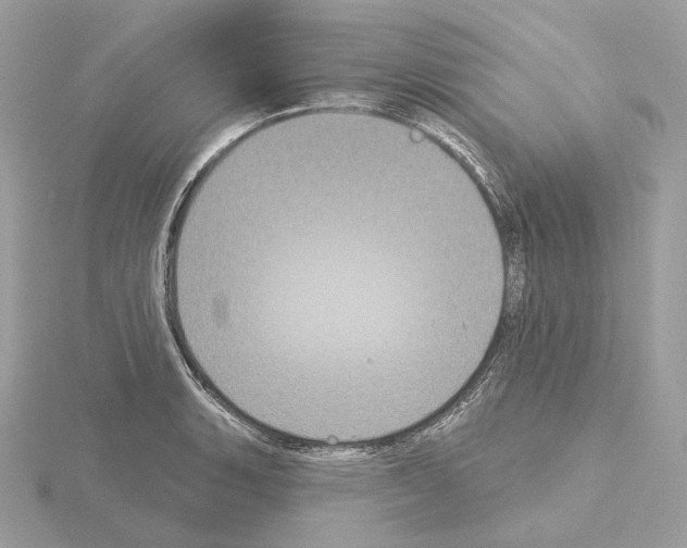 X0000115051135200912071124