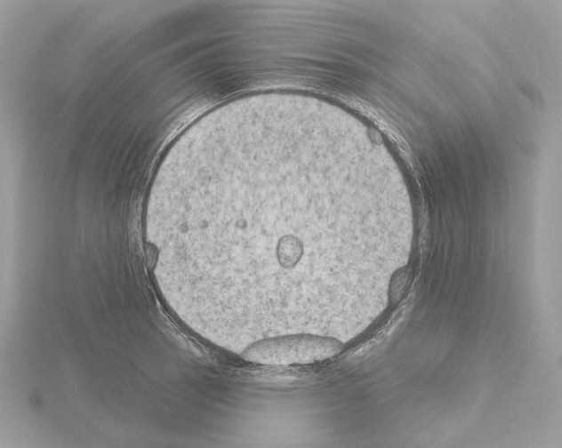 X0000115051137200912071124