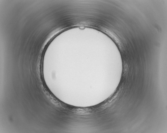 X0000115051138200912071124