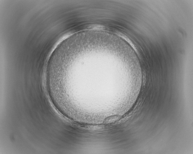 X0000115051139200912071125