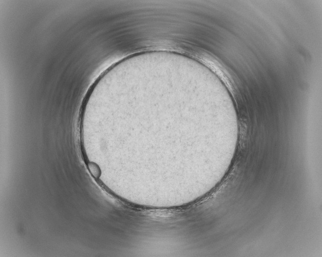 X0000115051141200912071125