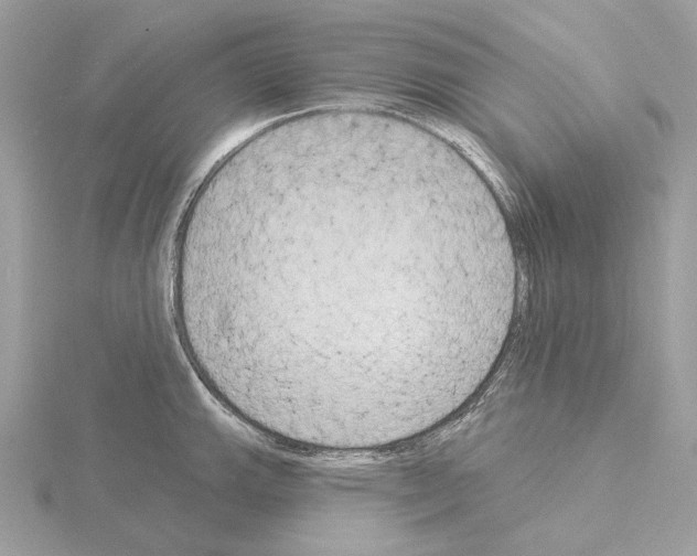 X0000115051143200912071125