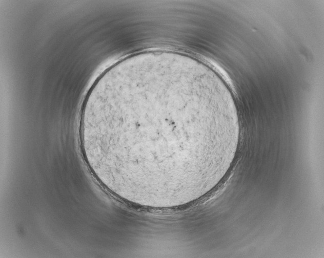 X0000115051146200912071125