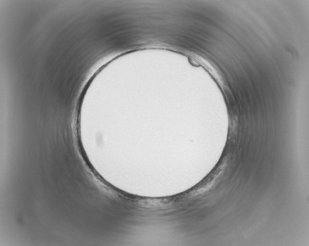 X0000115051149200912071125