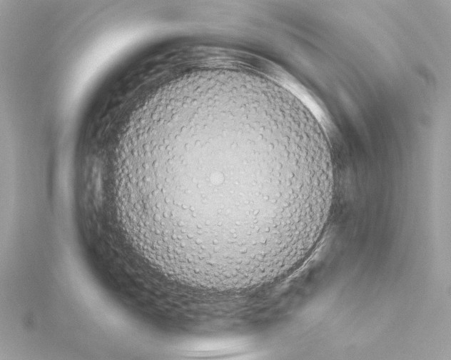 X0000115051150200912071125