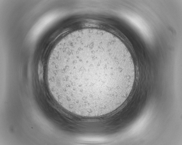 X0000115051151200912071125