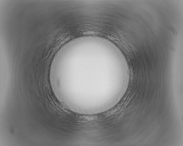 X0000115051153200912071124