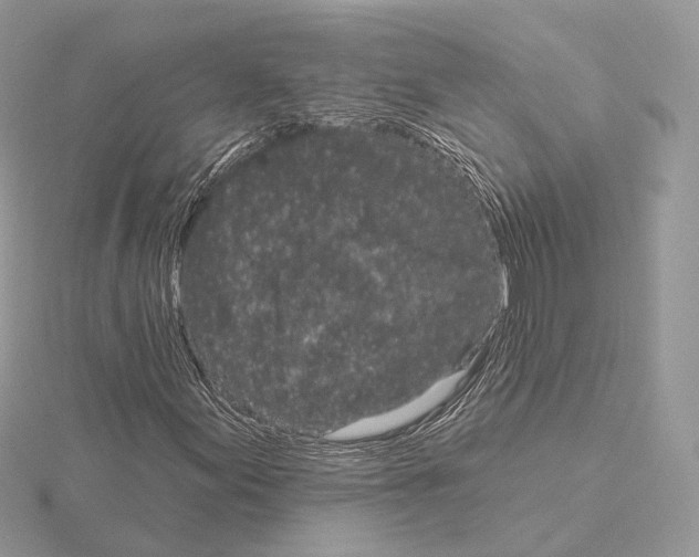 X0000115051155200912071124