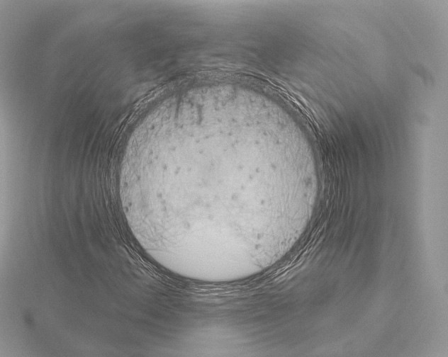 X0000115051156200912071124