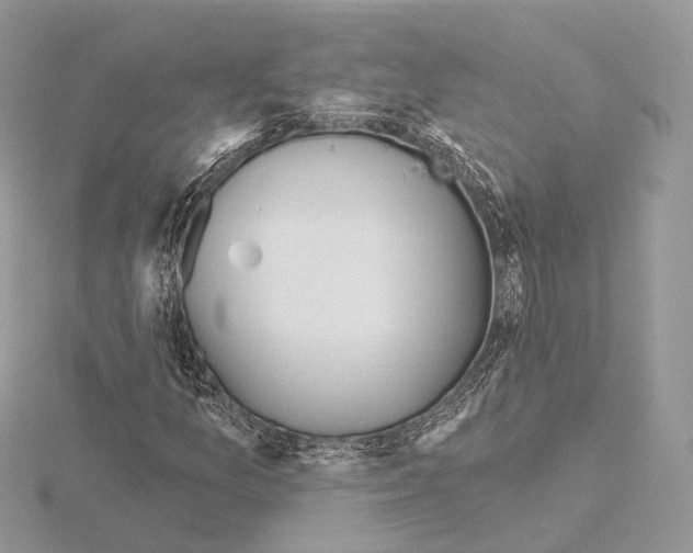 X0000115051157200912071124