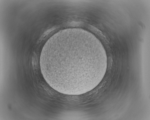 X0000115051158200912071124