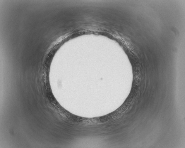 X0000115051159200912071124