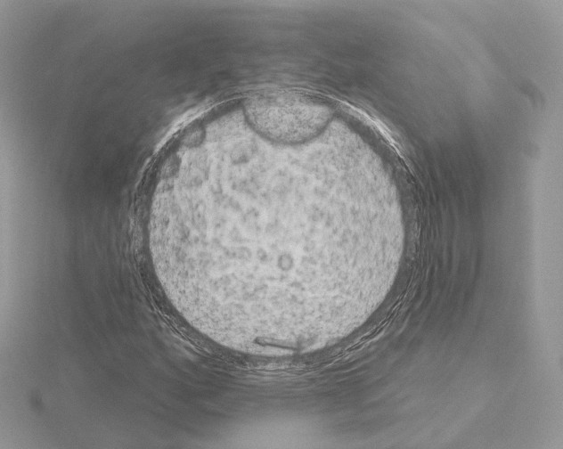 X0000115051160200912071124