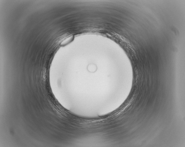 X0000115051161200912071124