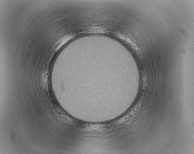 X0000115051162200912071124