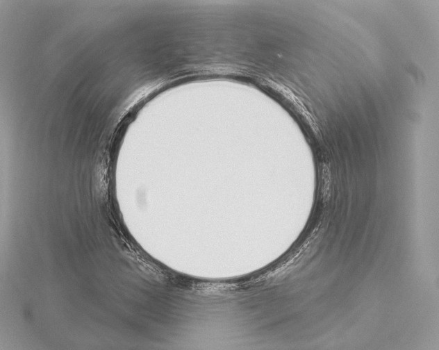 X0000115051163200912071124