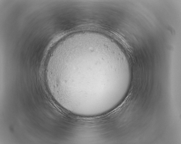 X0000115051164200912071124