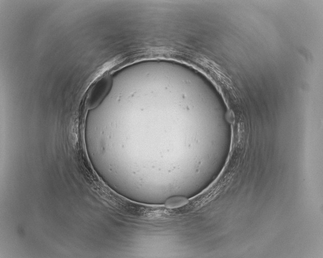 X0000115051165200912071124