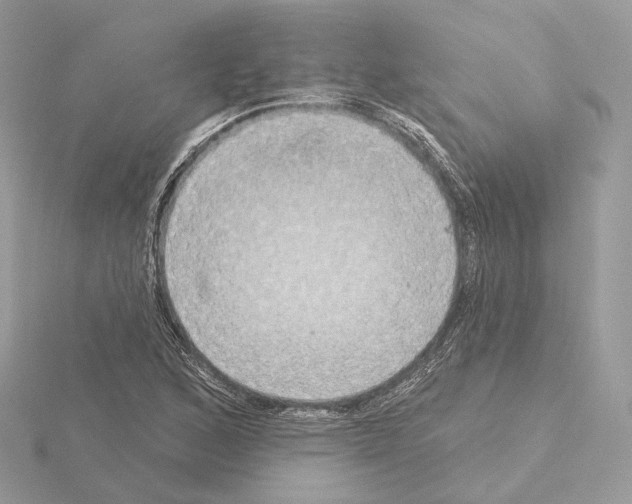 X0000115051168200912071124