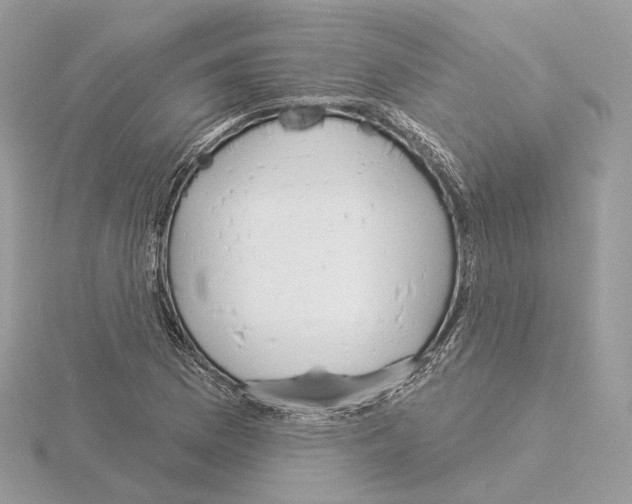 X0000115051169200912071124