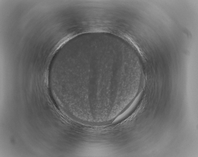 X0000115051173200912071124